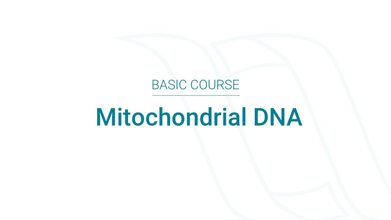 Visit our varvis® academy basics course on mitochondrial DNA