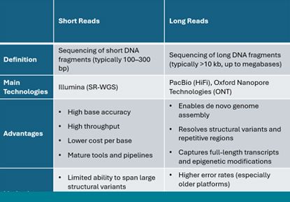 varvis® blog - The future of diagnostics is long — and it’s already here.